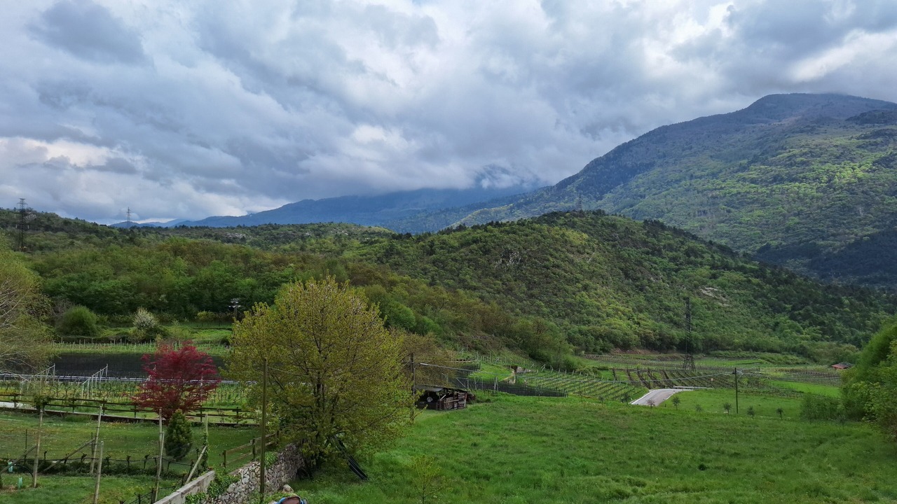 Photo of Others in Ciago