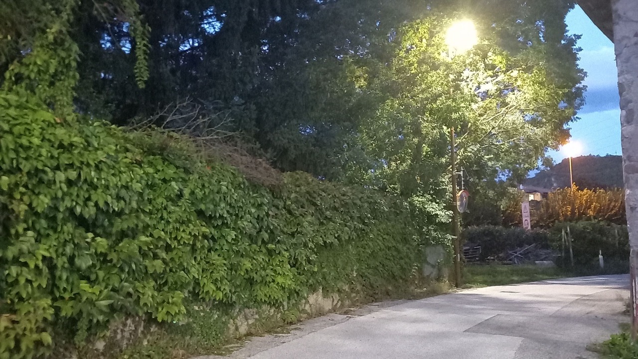 Photo of Others in Martignano