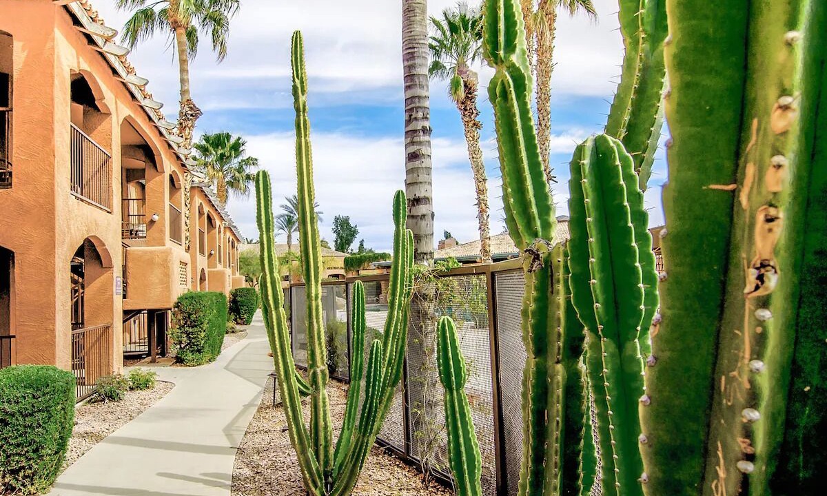 Photo of Outdoor in North Scottsdale