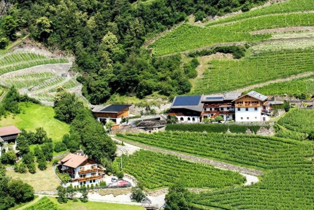 Photo of Outdoor in Cortina Sulla Strada del Vino