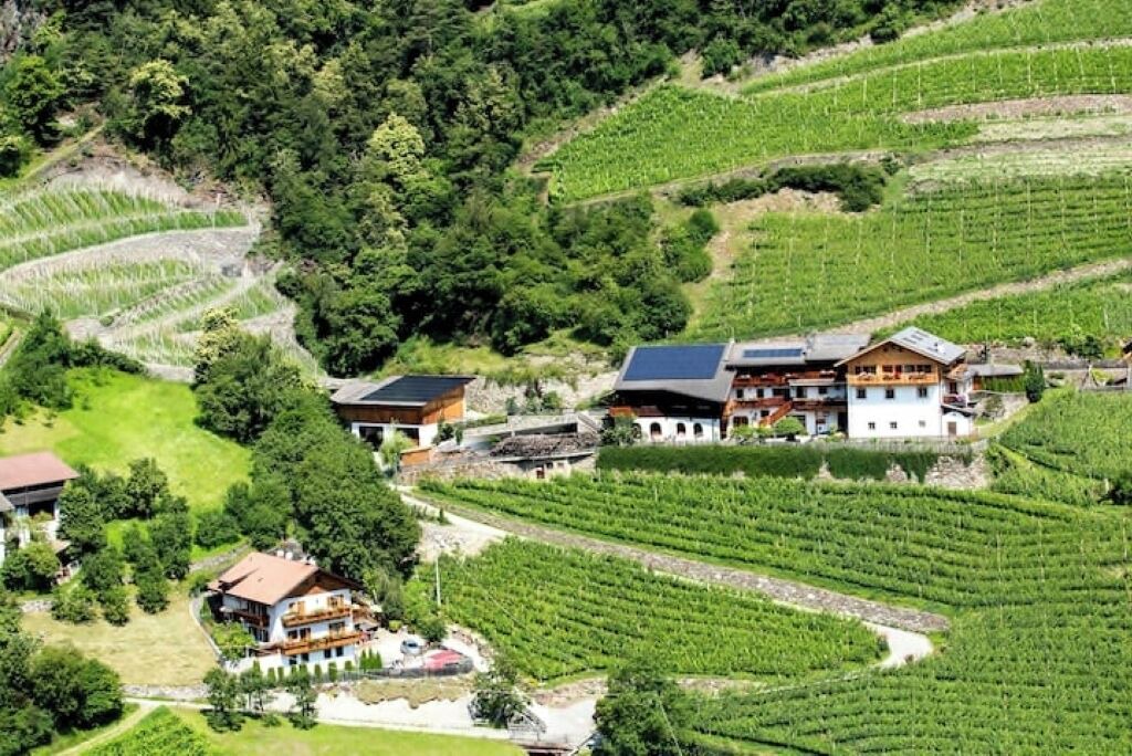 Photo of Outdoor in Cortina Sulla Strada del Vino