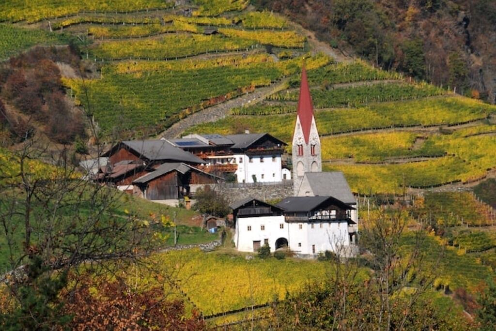 Photo of Outdoor in Cortina Sulla Strada del Vino