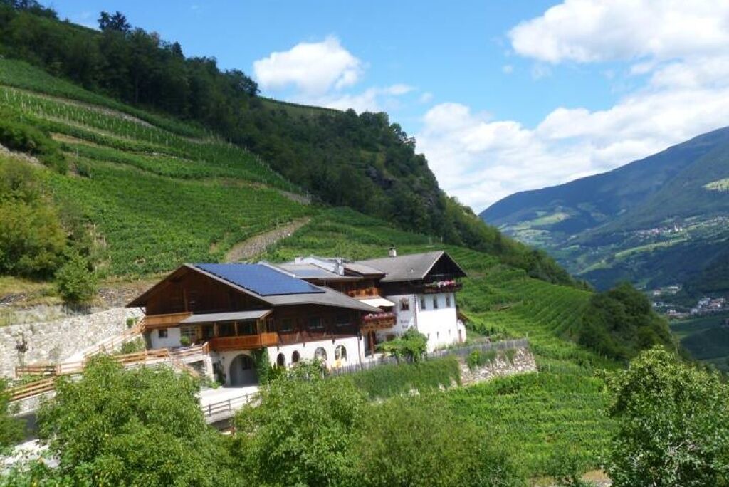 Photo of Outdoor in Cortina Sulla Strada del Vino
