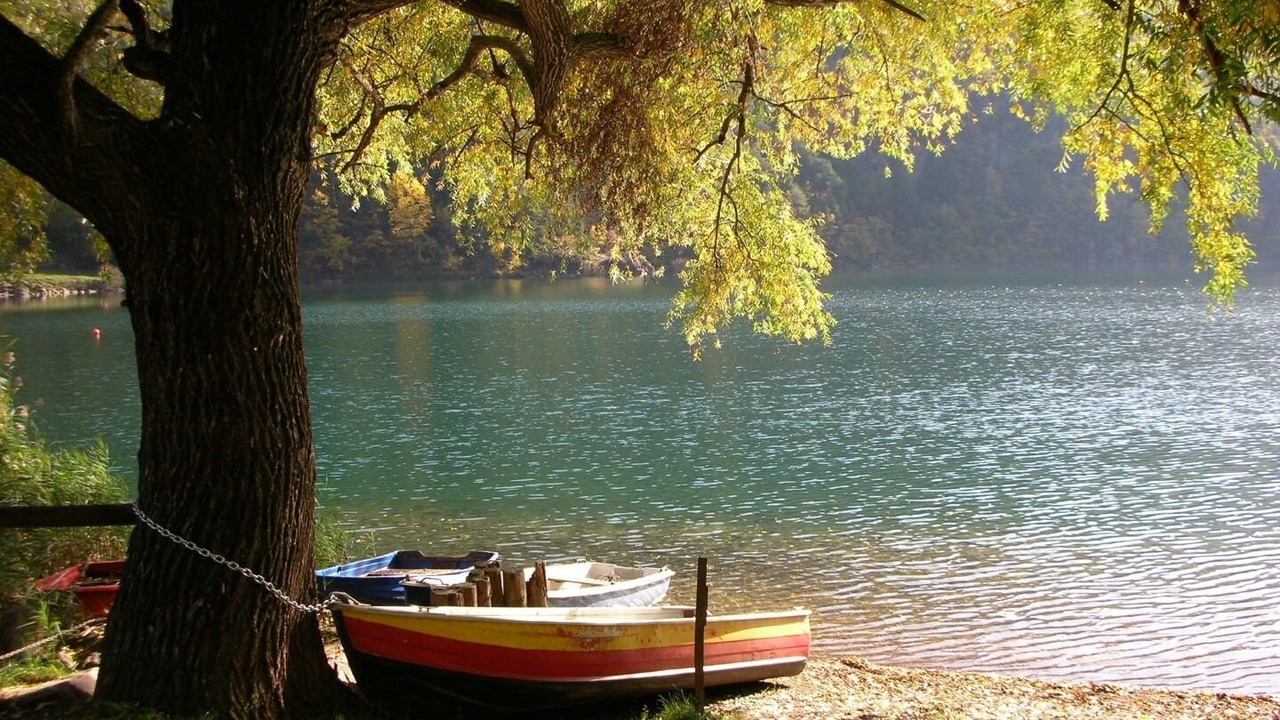 Photo of Others in Albiano