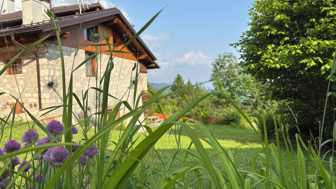 Photo of Outdoor in Castello Tesino
