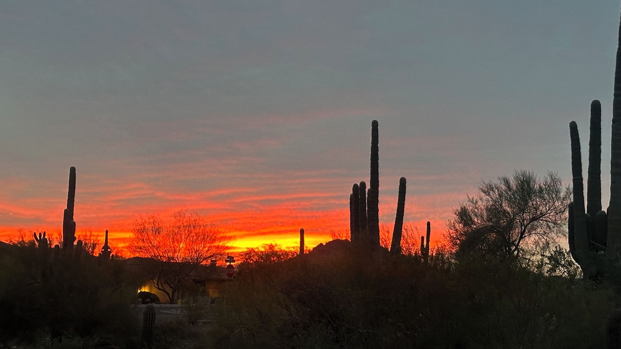 Photo of Others in Tonto Forest Estates