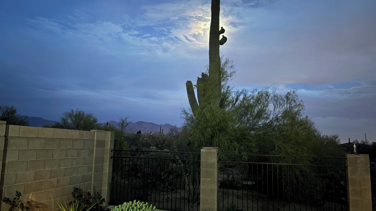 Photo of Others in Dove Mountain