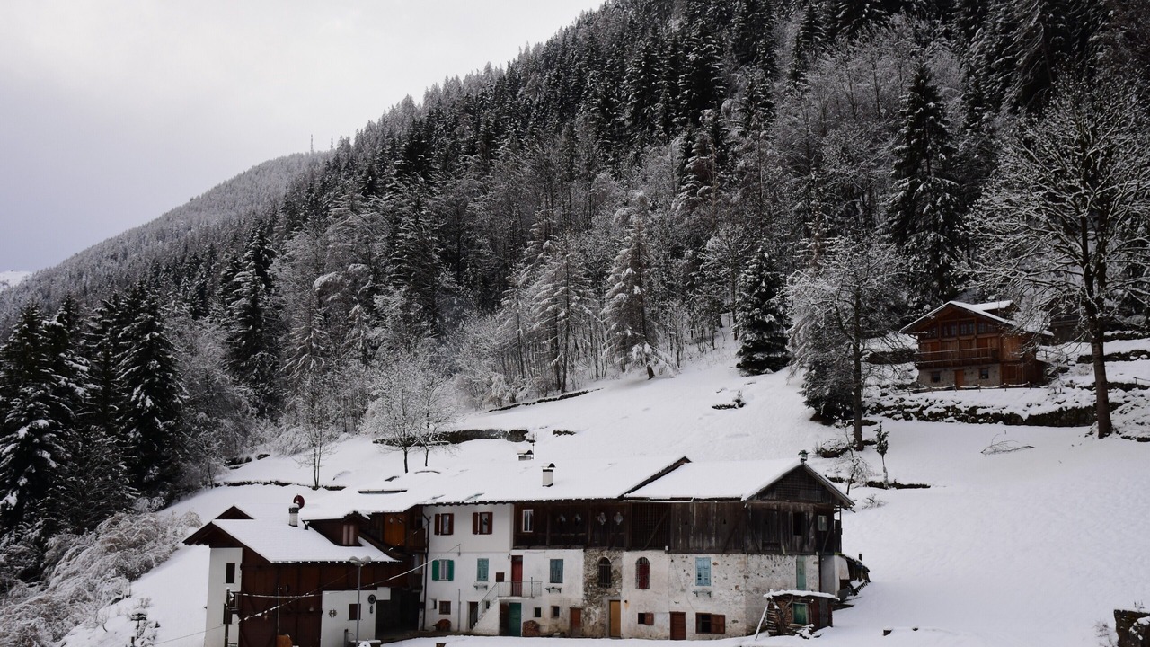 Photo of Outdoor in Pracorno