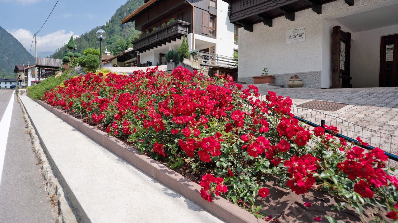 Photo of Outdoor in Pracorno