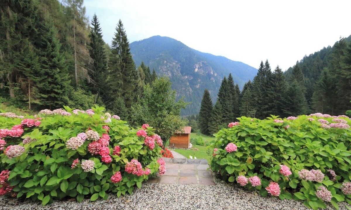 Photo of Outdoor in Canal San Bovo