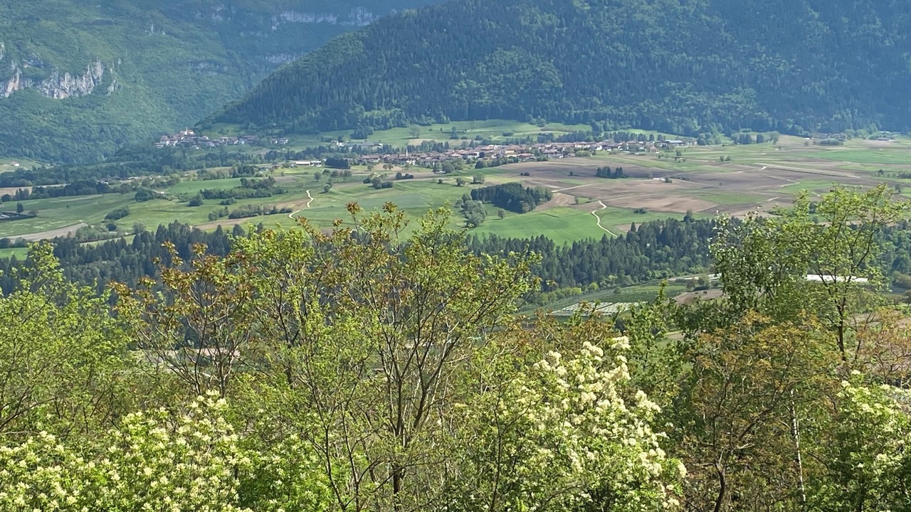 Photo of Others in Bleggio Superiore