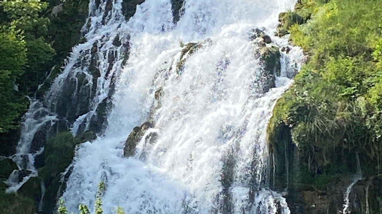 Photo of Others in Bleggio Superiore