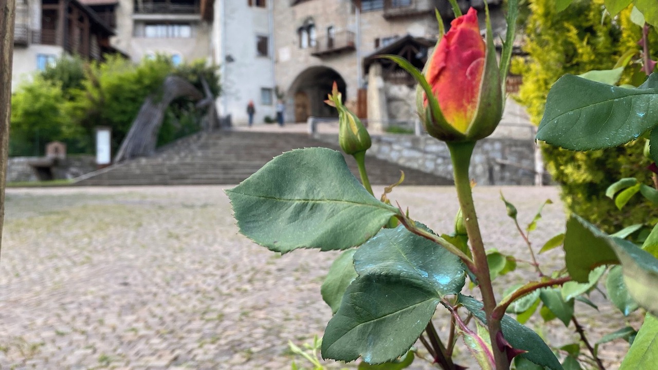 Photo of Outdoor in Bleggio Superiore