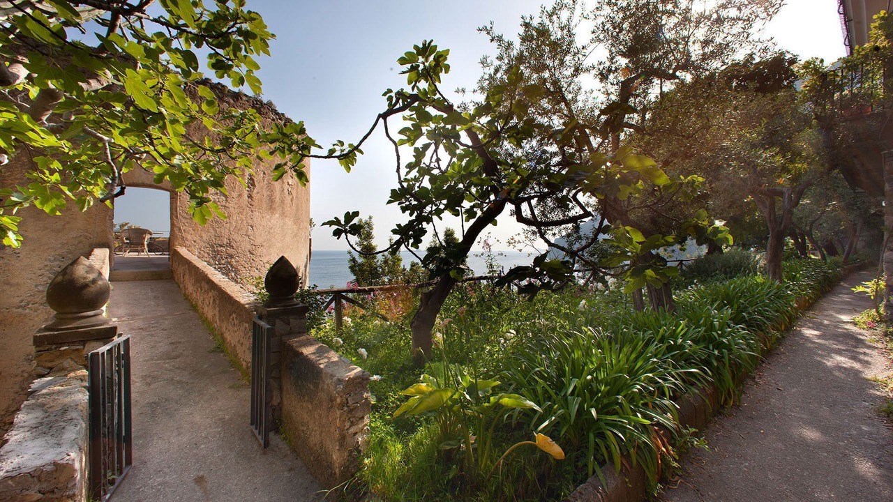 Photo of Others in Positano City Centre
