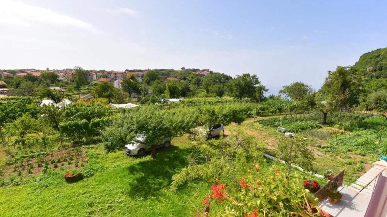 Photo of Outdoor in Bomerano