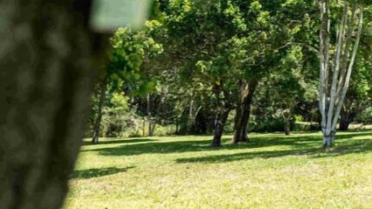 Photo of Outdoor in Kloof
