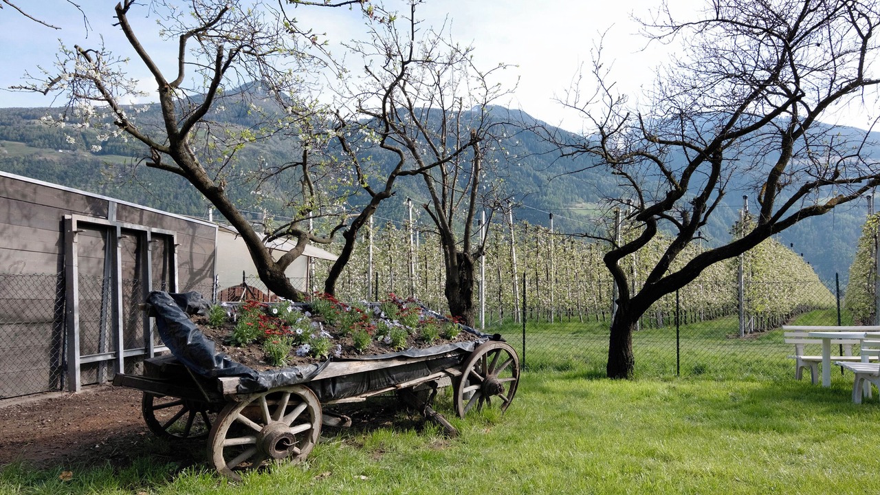 Photo of Outdoor in Castelbello-Ciardes