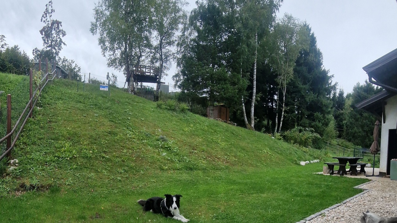 Photo of Outdoor in Polsa