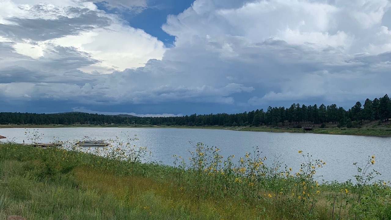 Photo of Others in Pinetop