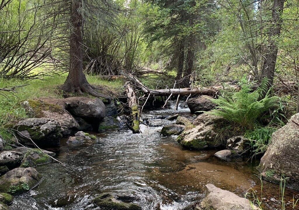 Photo of Others in Pinetop