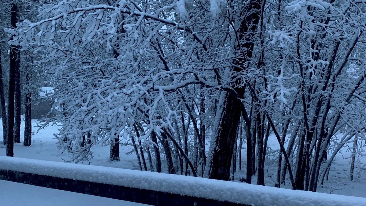 Photo of Others in Pinetop