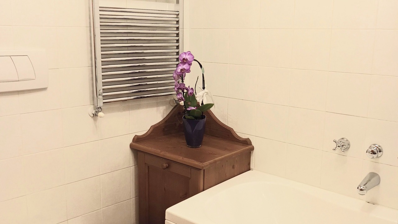 Photo of Bathroom in Andalo