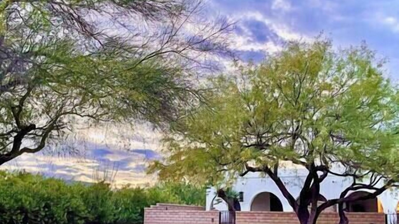 Photo of Others in Sahuarita