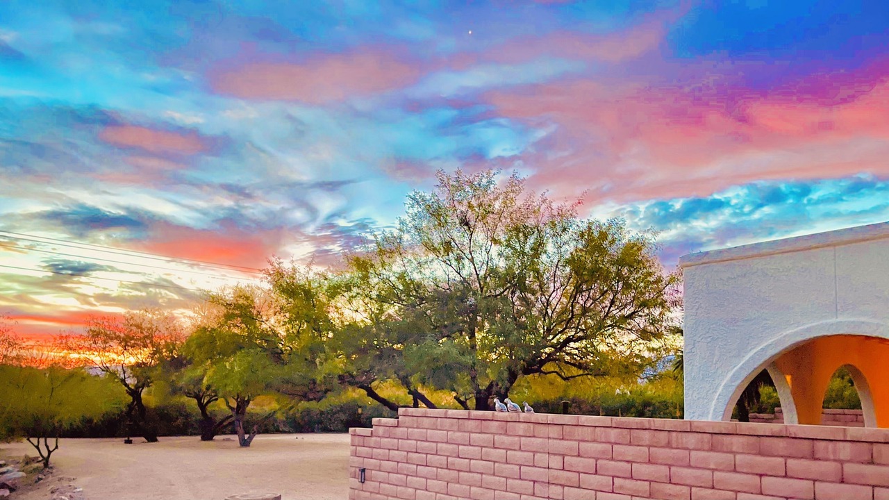 Photo of Others in Sahuarita