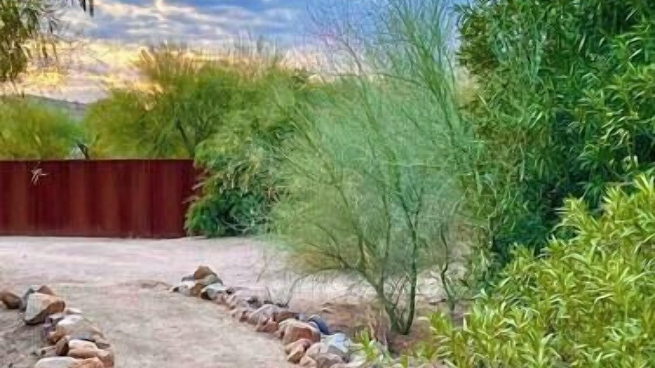Photo of Others in Sahuarita