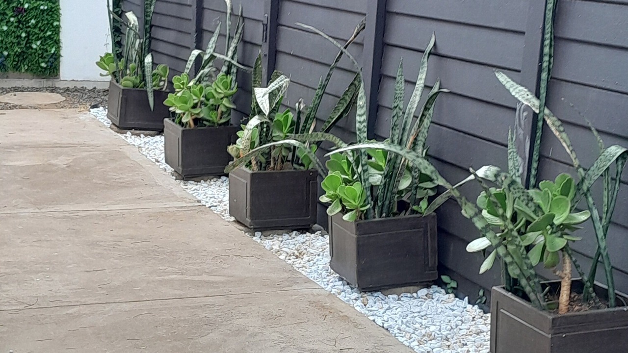 Photo of Outdoor in Newcastle
