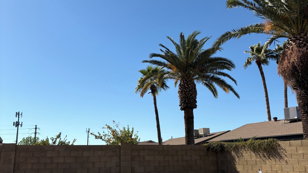 Photo of Outdoor in Glendale
