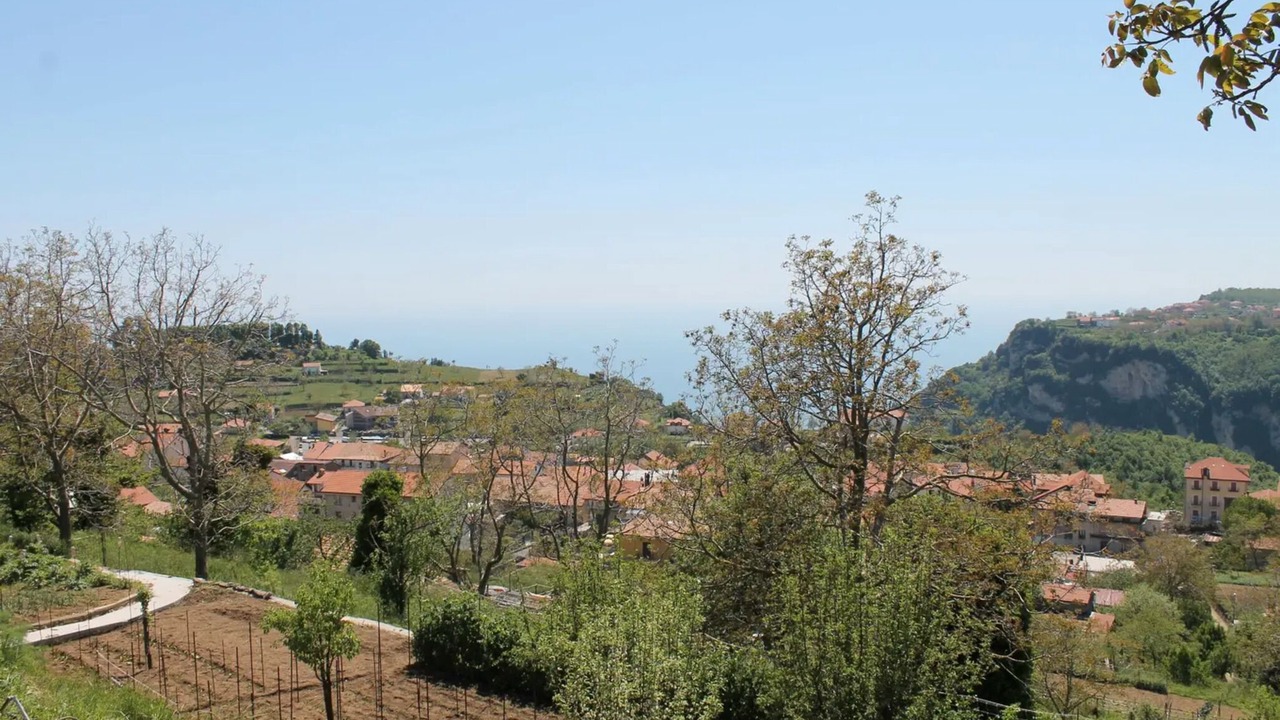 Photo of Others in San Lazzaro