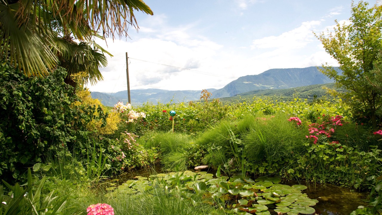 Photo of Outdoor in Pianizza Di Sopra