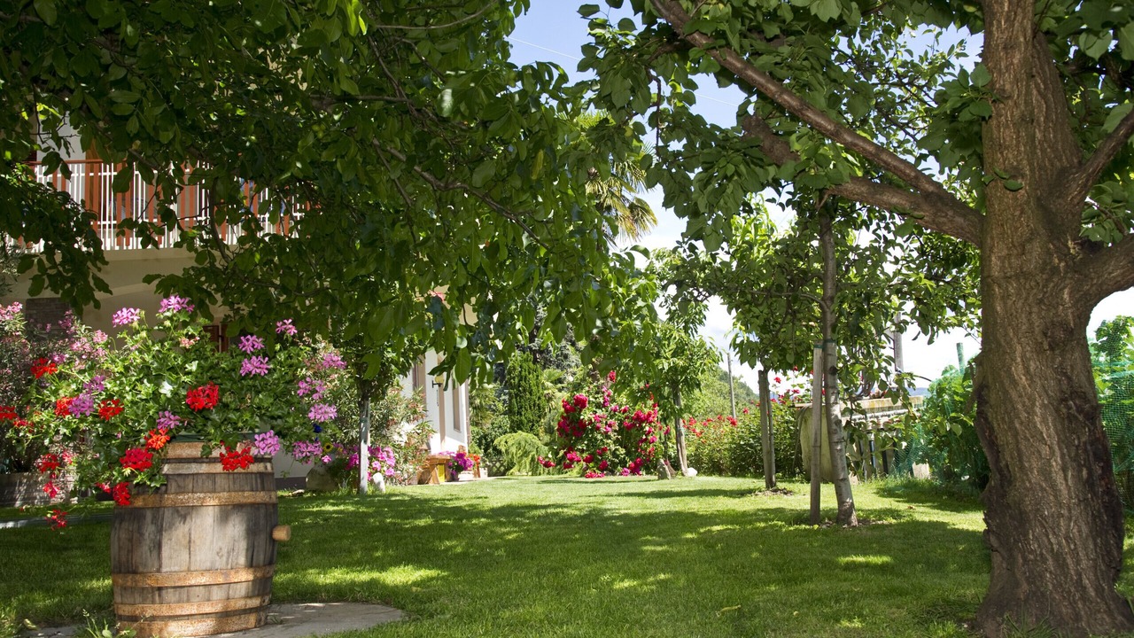 Photo of Outdoor in Pianizza Di Sopra