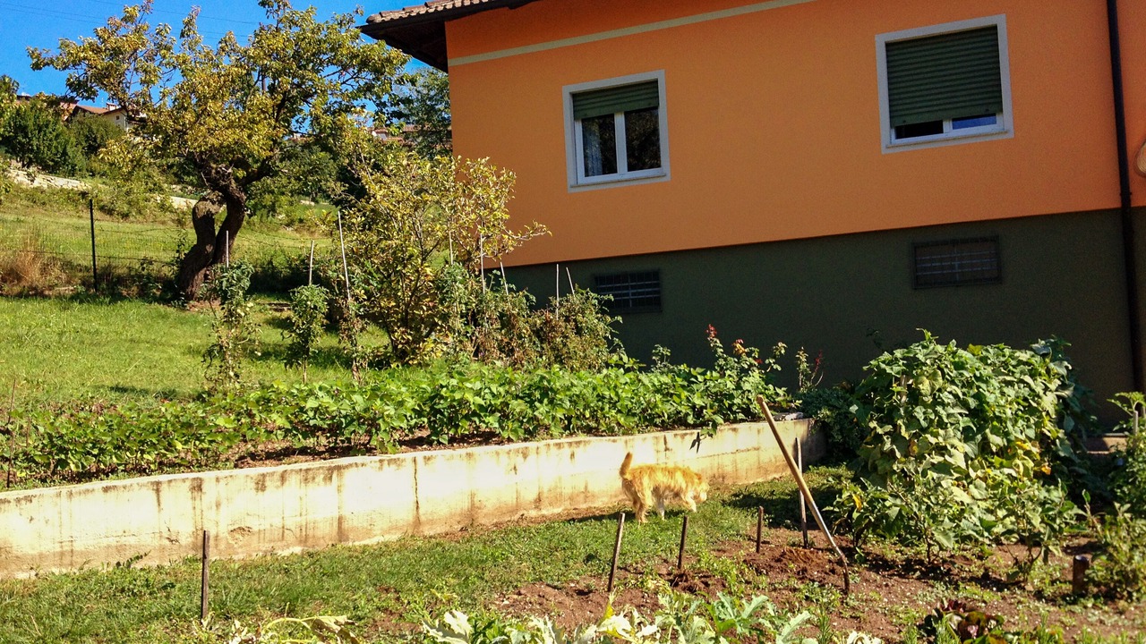 Photo of Outdoor in Brentonico