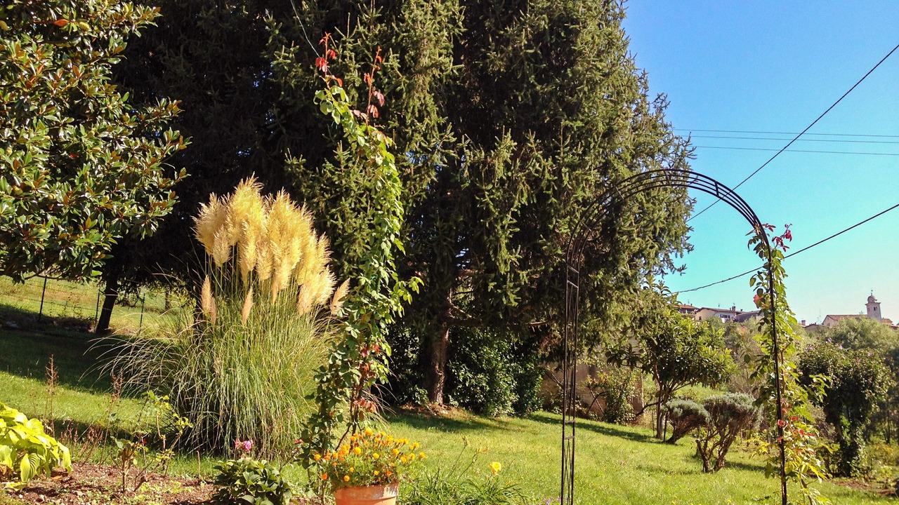 Photo of Outdoor in Brentonico
