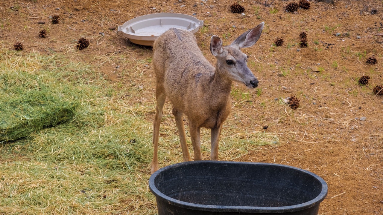 Photo of Others in Highland Pines