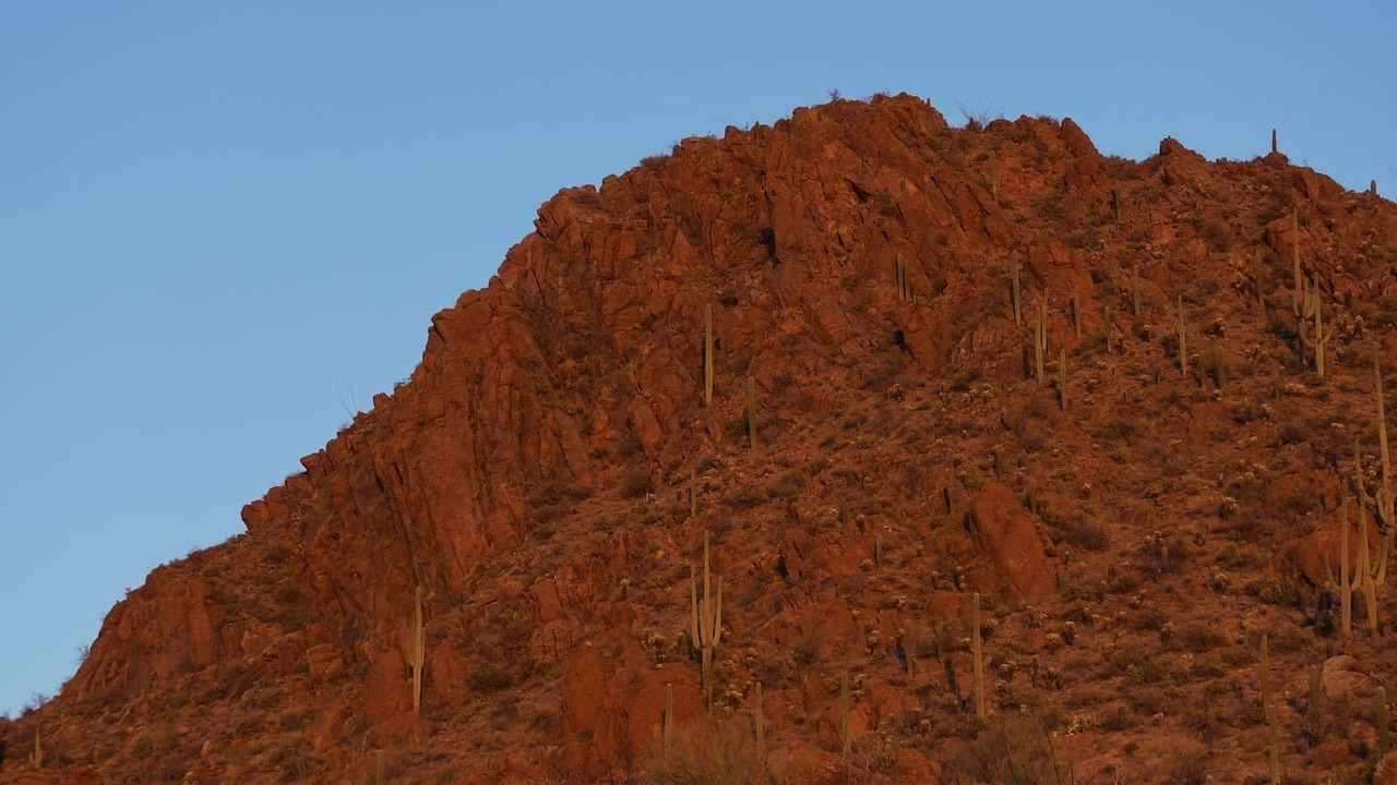 Photo of Others in Marana