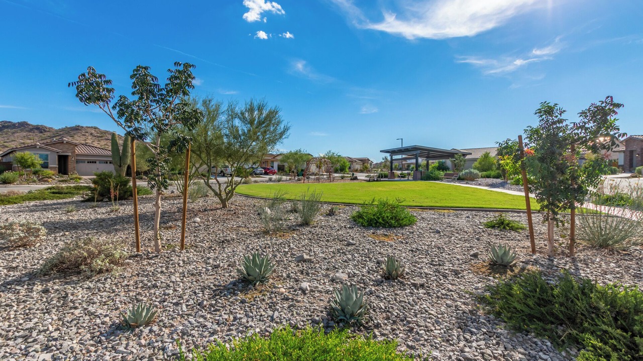Photo of Outdoor in Estrella Mountain Ranch