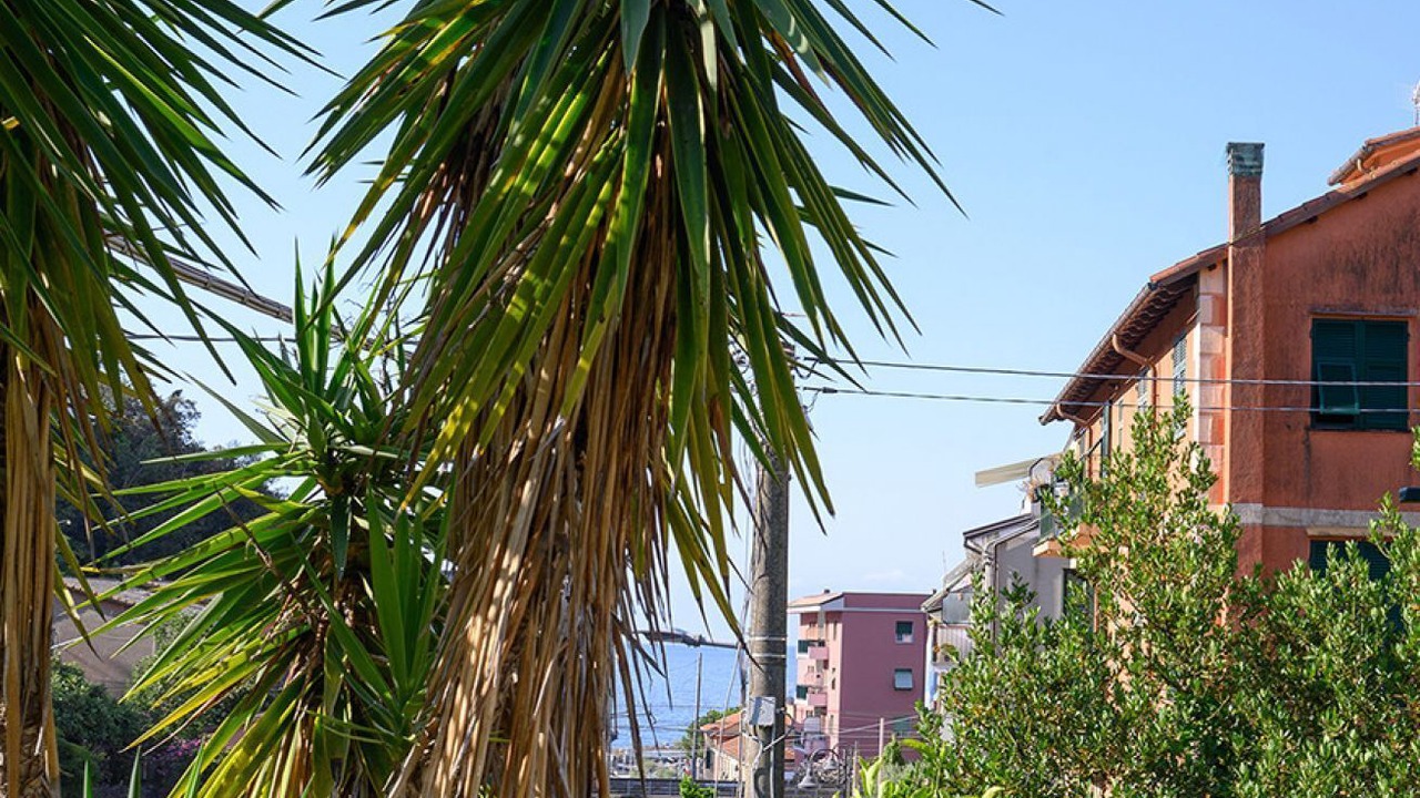 Photo of Others in Cinque Terre