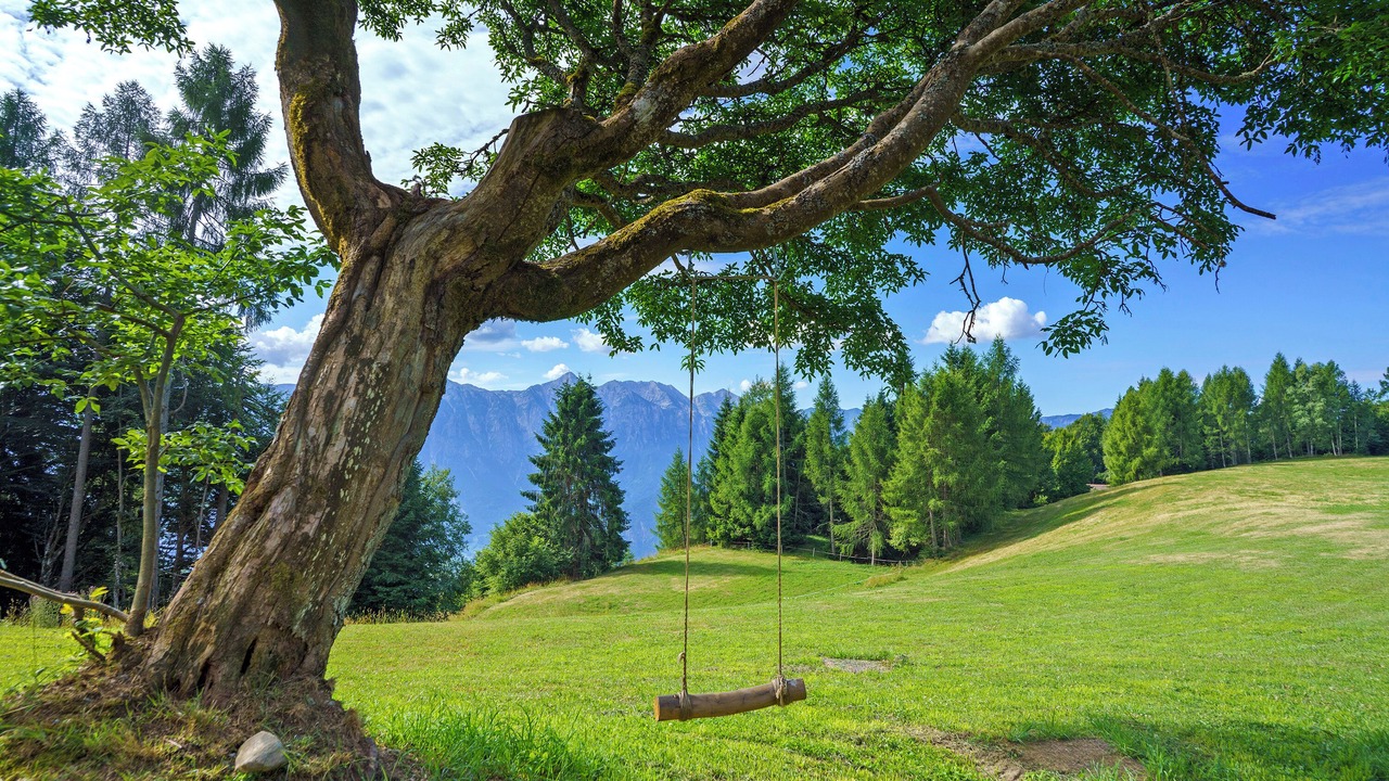Photo of Others in Ronchi Valsugana