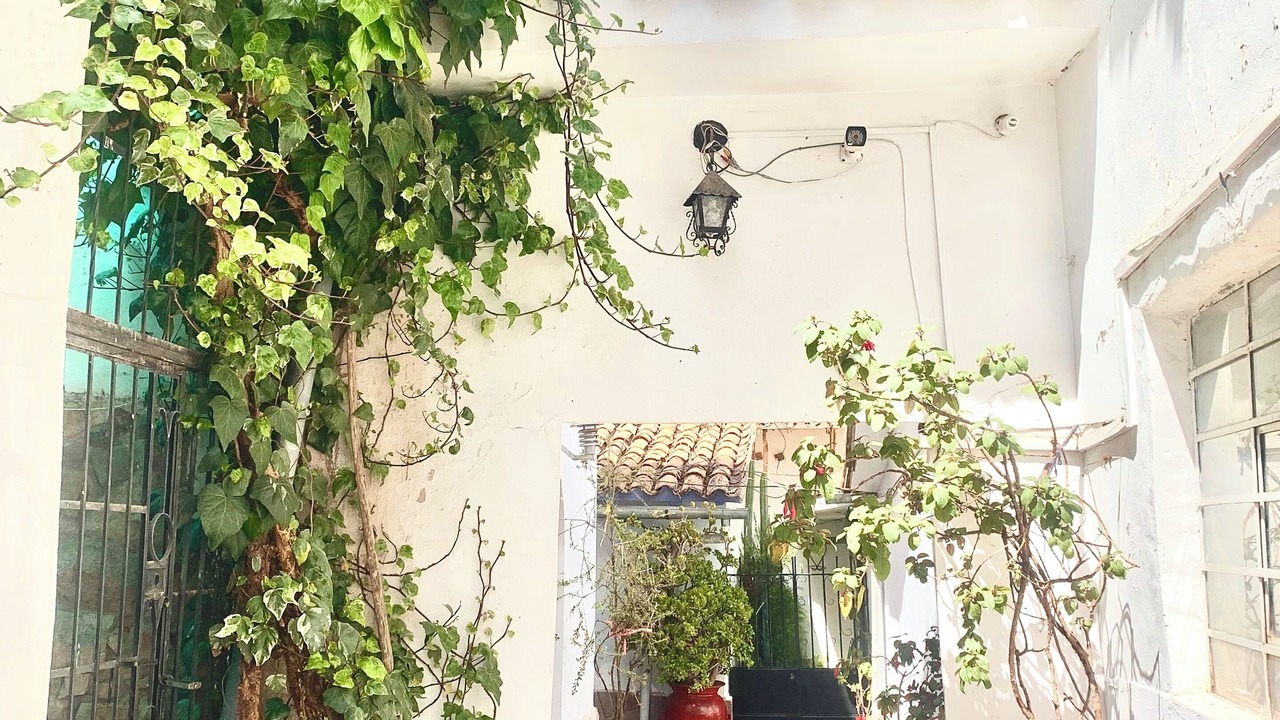 Photo of Outdoor in Cusco Historic Center
