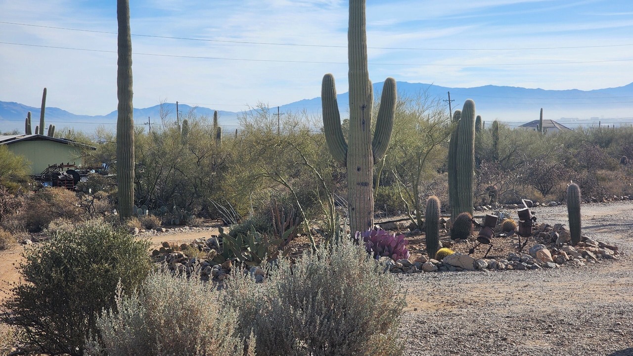 Photo of Others in Tucson