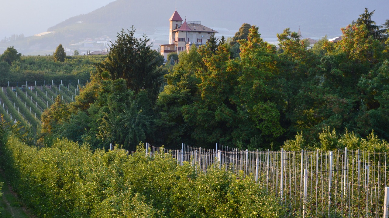 Photo of Others in Sanzeno