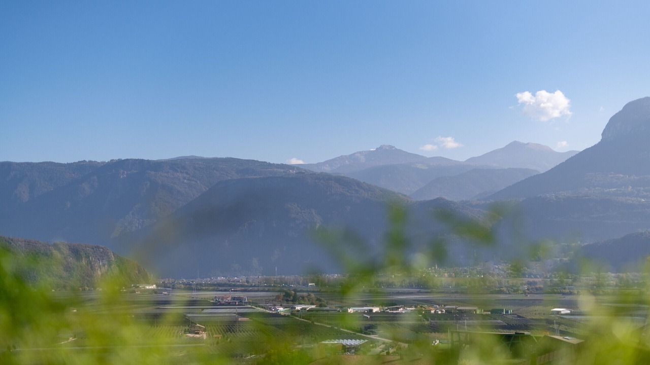 Photo of Others in Tramin