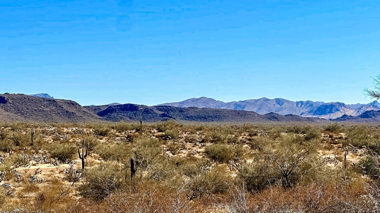 Photo of Others in Gold Canyon
