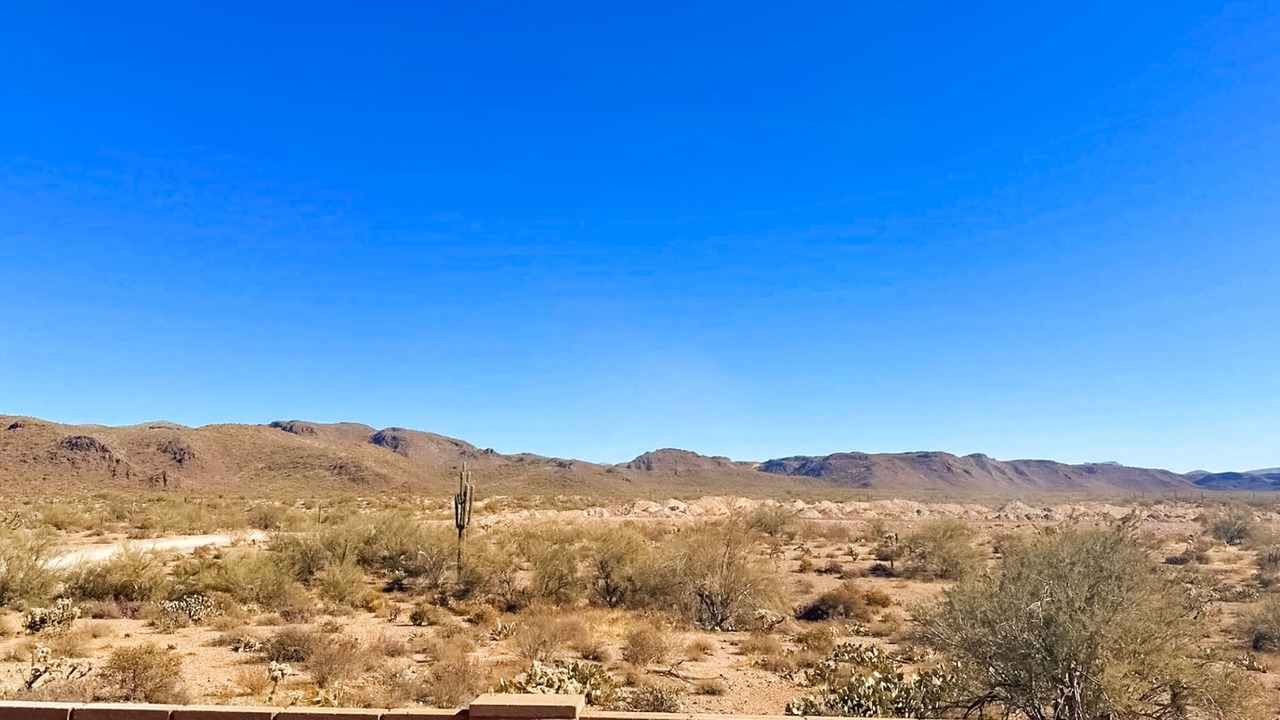 Photo of Others in Gold Canyon