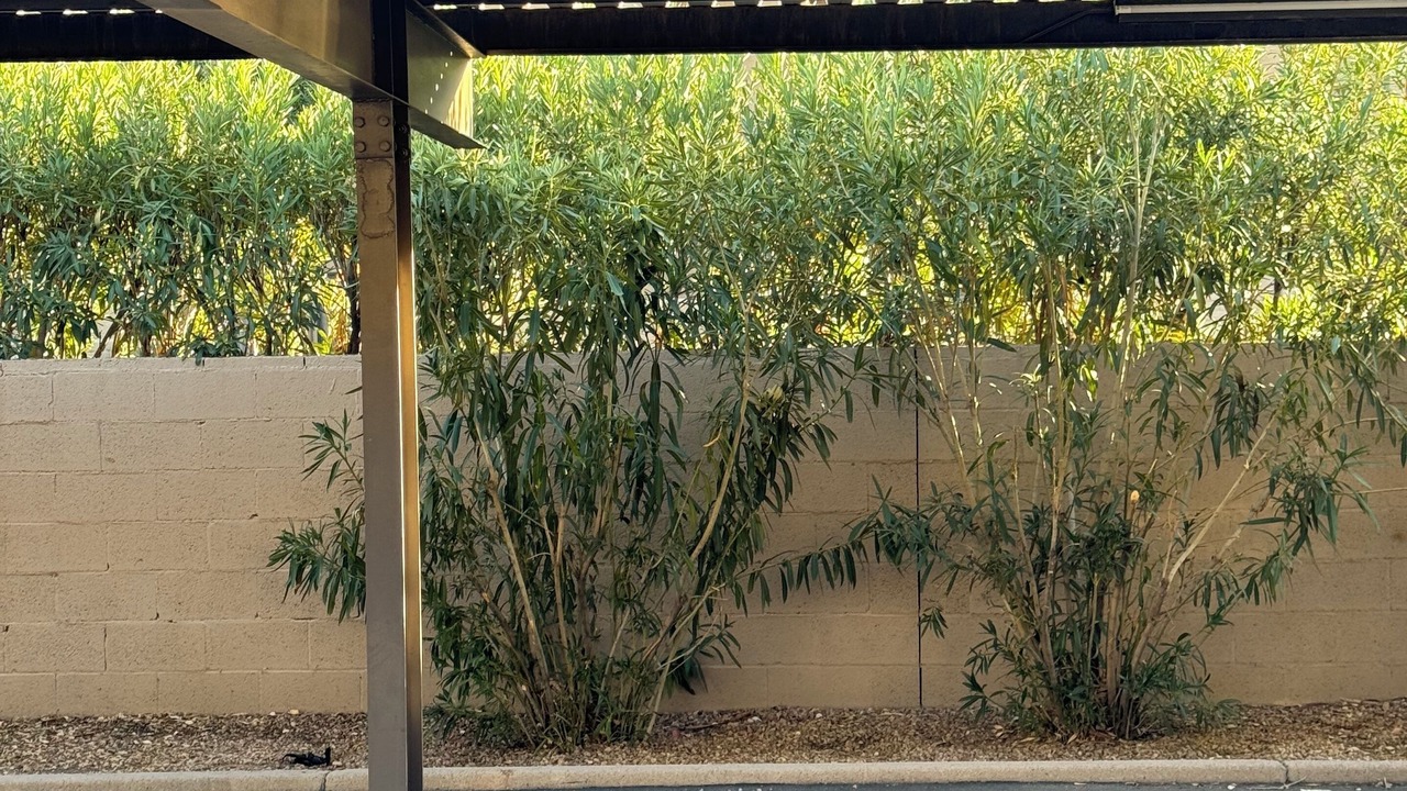 Photo of Outdoor in Las Colinas Horizontal