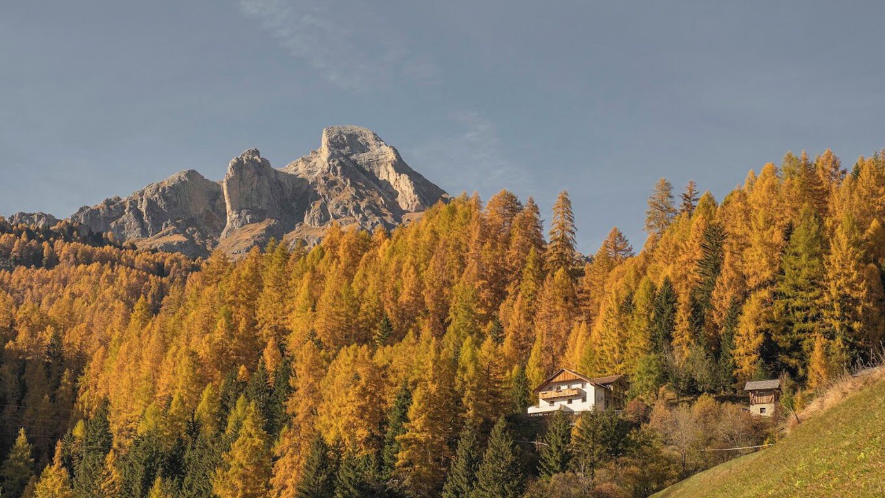 Photo of Others in San Martino in Badia