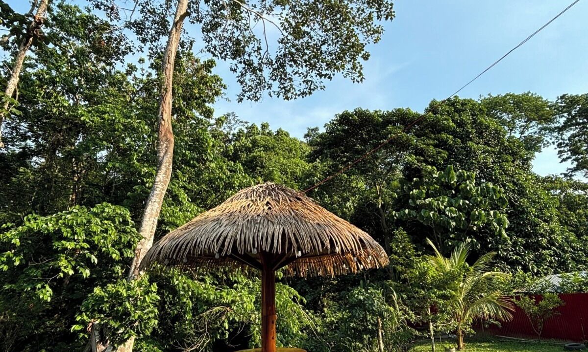 Photo of Outdoor in Sauce